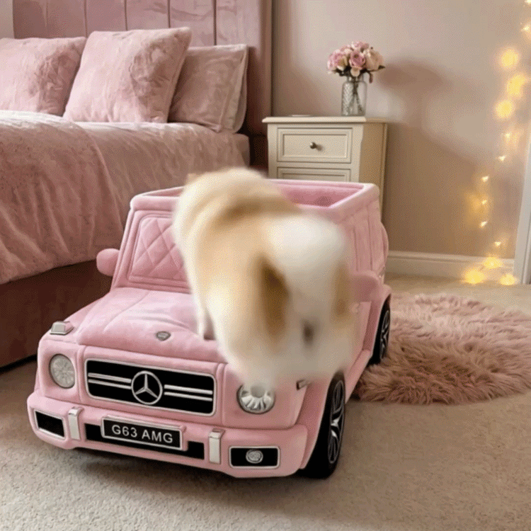 Perro acomodándose en una cama Paw Royale